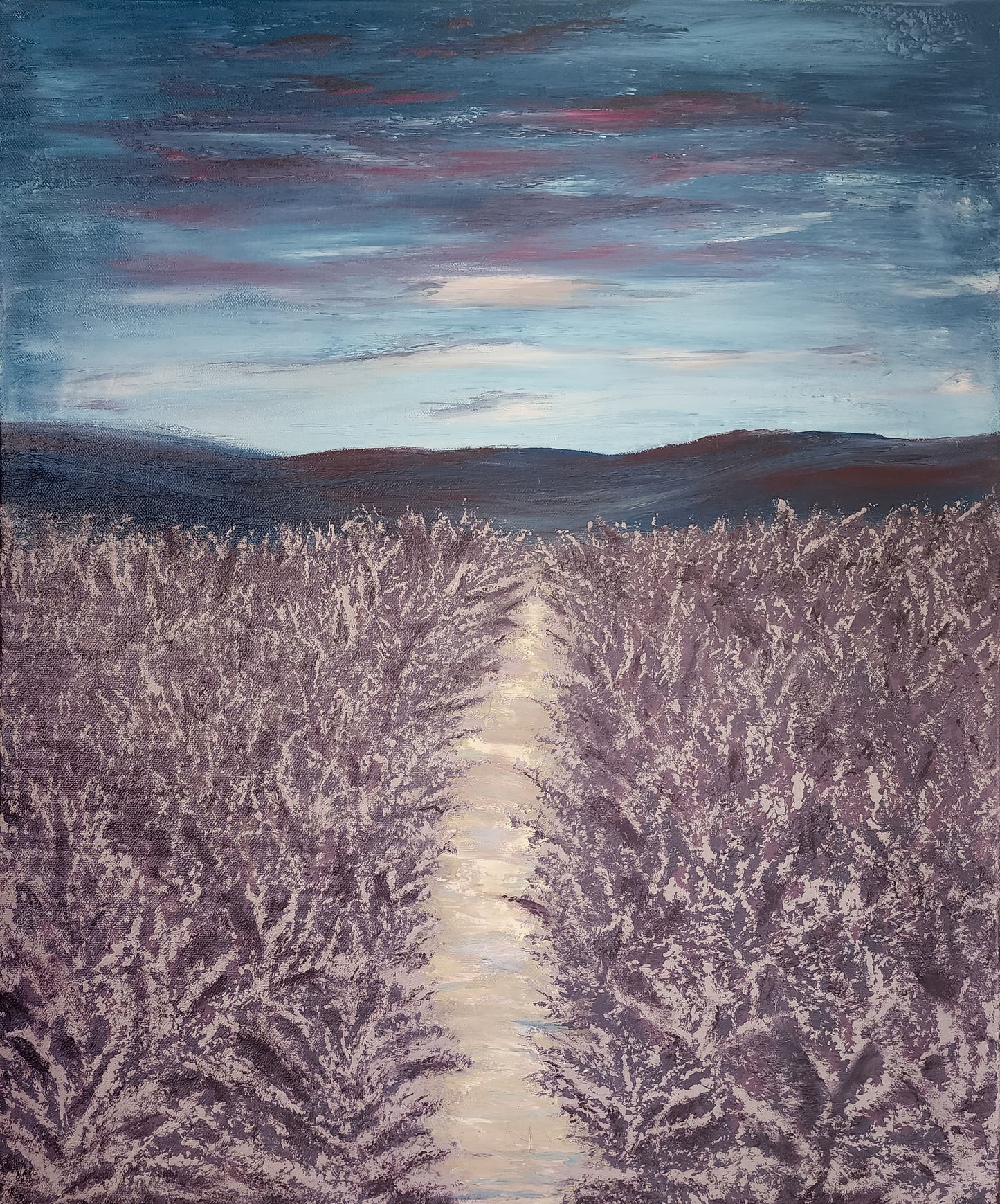 Lavender Fields Original Canvas Painting